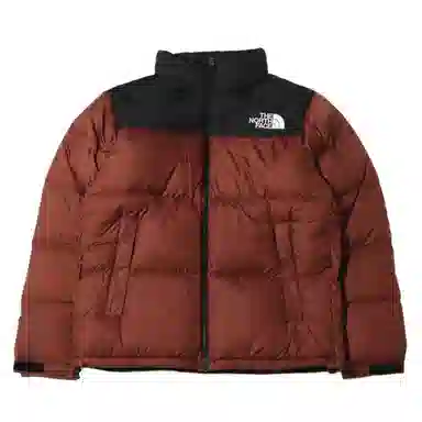 The North Face Nuptse Brown
