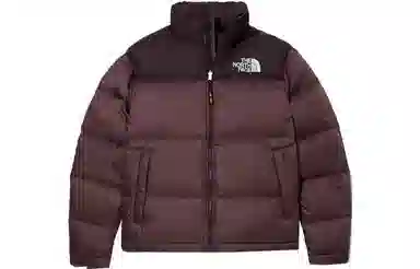 The North Face 1996 Brown