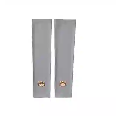 冠辉 夏季儿童青少年冰丝户外透气防紫外线袖套高端樱桃小丸子轻薄透气舒适防紫外线防冰袖可爱卡通 锦纶 防晒袖 男女同款情侣款