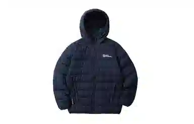 Jack Wolfskin Logo700