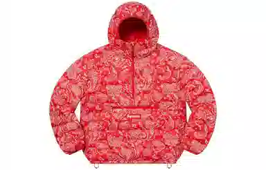 Supreme Micro Down Half Zip Hooded Pullover