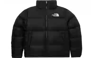 THE NORTH FACE 1996 FW23 EcoNuptse Jacket