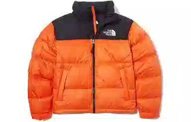 THE NORTH FACE 1996