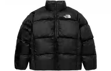 The North Face Tech Pack Air Down Jacket