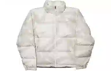 THE NORTH FACE TNF x KAWS FW22 logo