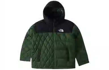 The North Face Urban Exploration 700 Down Jacket