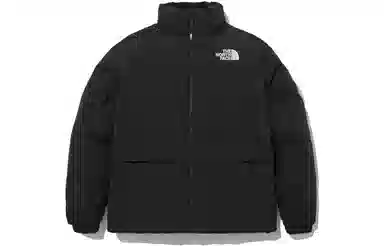 THE NORTH FACE FW22 Logo