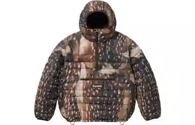 Supreme Micro Down Half Zip Hooded Pullover