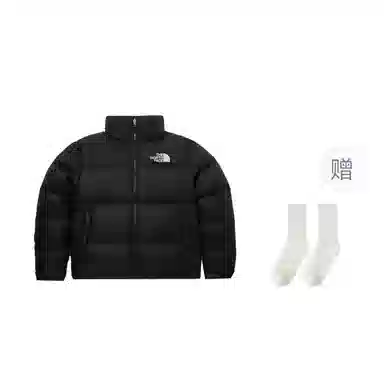 The North Face 1996 EcoNuptse Jacket