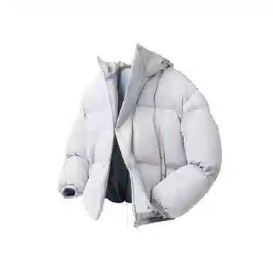 ASEDE Hoodie Puffer Jacket