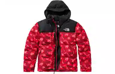 The North Face 1996 Nuptse