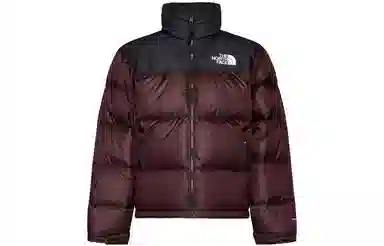 The North Face 1996 Icon Nuptse Jacket