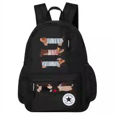 Converse Backpack