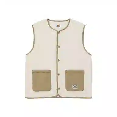 Dickies DK011260C10
