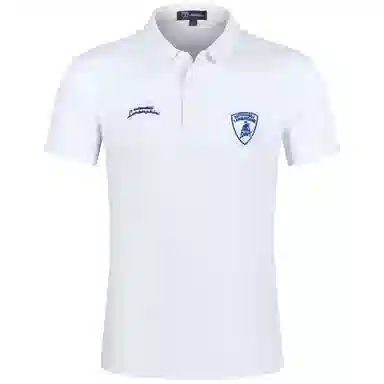 Automobili Lamborghini logoPolo