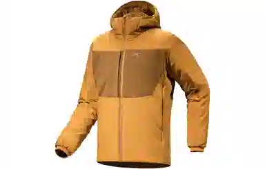 Arcteryx Proton Heavyweight Hoody