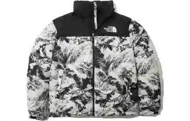 The North Face 1996 Novelty Nuptse Jacket