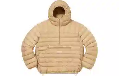 Supreme Micro Down Half Zip Hooded Pullover