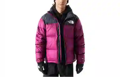 The North Face 1996 Series