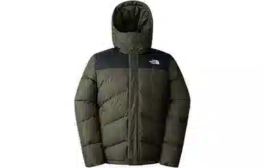 THE NORTH FACE