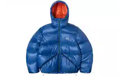 Stussy Micro Ripstop Down Parka