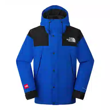 THE NORTH FACE LOGO FW24 ICON