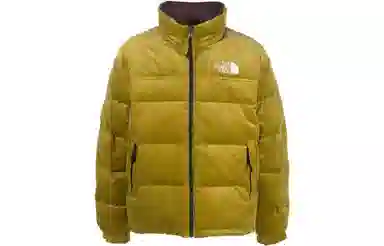 THE NORTH FACE 1992 Logo