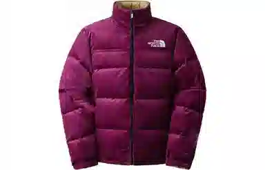 THE NORTH FACE NUPTSE 1992 FW23