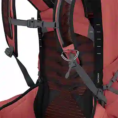 OSPREY Tempest 22L