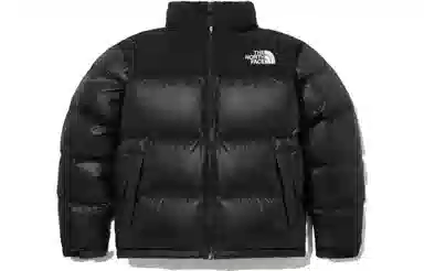 The North Face Novelty Nuptse Down Jacket