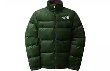 The North Face Nuptse 1992 Green