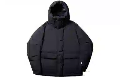 DAIWA PIER39 Gore-tex Infinium Expedition Down Jacket