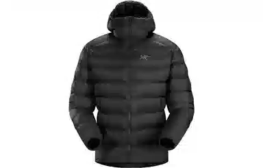 Arcteryx Cerium Sv