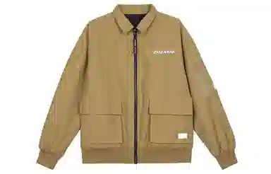 Dickies Logo