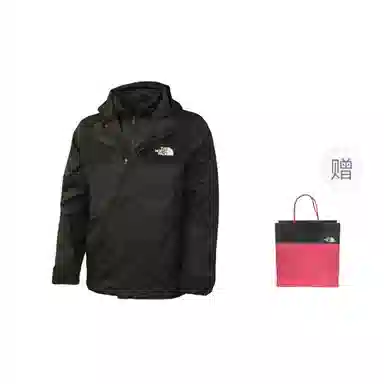 THE NORTH FACE