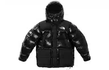 Supreme FW22 Week 7 x The North Face 700-Fill Down Parka Logo