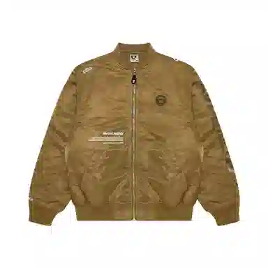 Aape