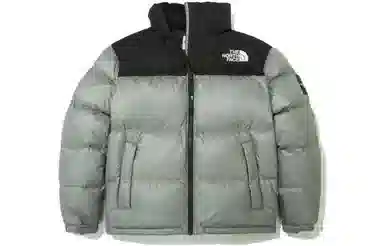 The North Face Novelty Nuptse Down Jacket