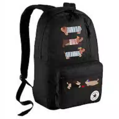 Converse Backpack