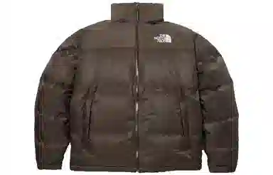 The North Face 1996 Dryvent Down Jacket