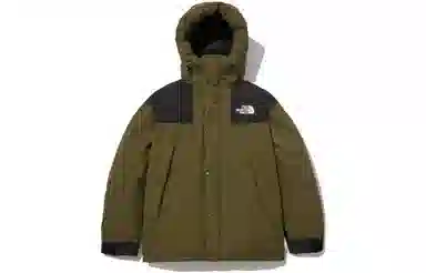 The North Face DryVent Green