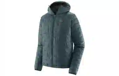 patagonia Micro Puff
