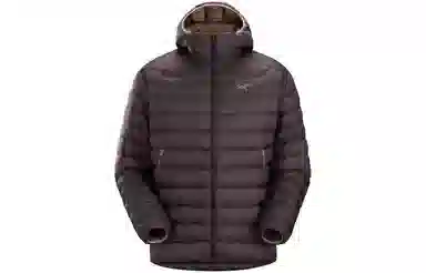 Arcteryx Cerium Hoody