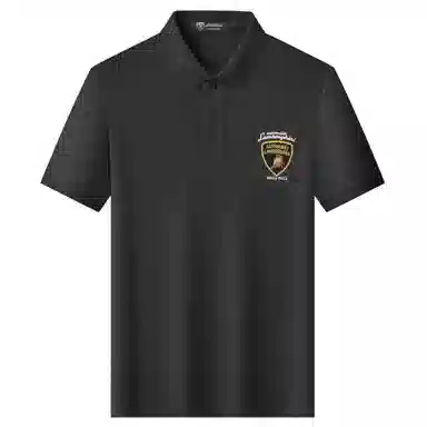 Automobili Lamborghini logoPolo