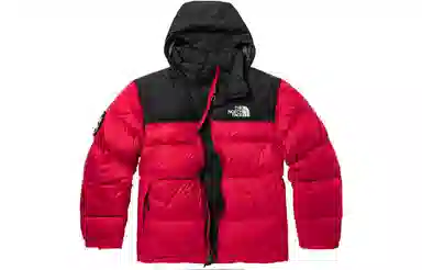 THE NORTH FACE 1992 30 Logo