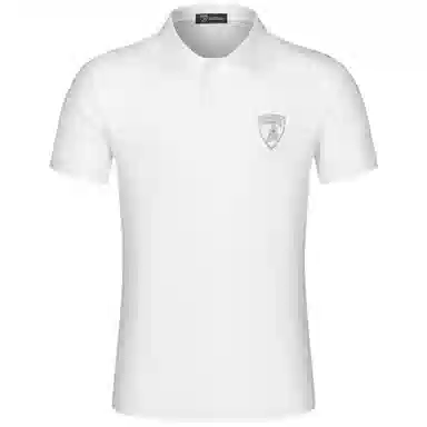 Automobili Lamborghini logoPolo