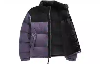 THE NORTH FCAE 1996 Nuptse700