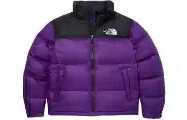 The North Face 1996 Eco Nuptse Purple