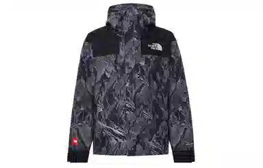 THE NORTH FACE ICON