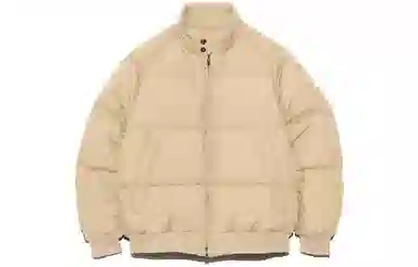 THE NORTH FACE PURPLE LABEL